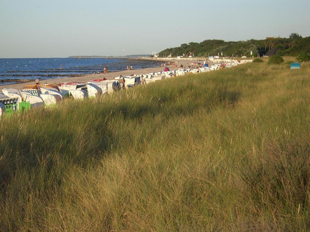 Residenz Waldhaus We 4 Leilighet Ostseebad Kühlungsborn Eksteriør bilde